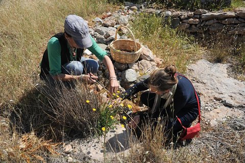 Authentic Greek Cooking & Foraging Experience in Syros with Maria
