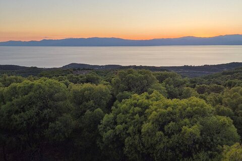 Spiritual Tour at Spetses Forest 