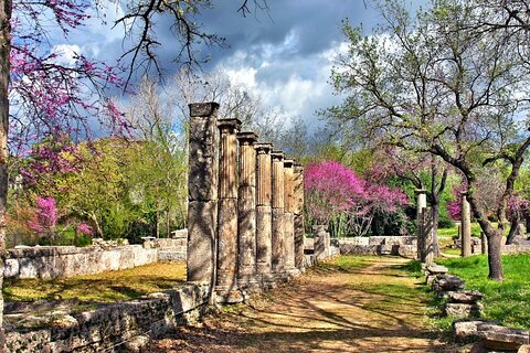Private Excursion to Ancient Olympia - bee farm & winery