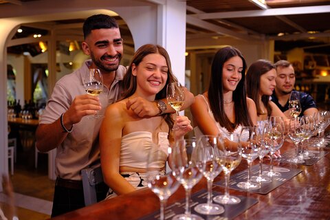 Private Wine Tour in Santorini - Greece